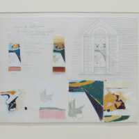 The Evolution of the Passion of Pollution