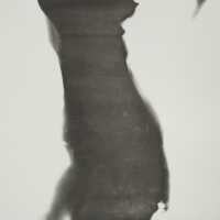 Prelude to 1,000 Contemporary Objects of Our Time No. 7