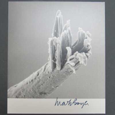 Signed Print