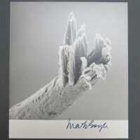          Signed Print
   