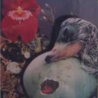          Untitled picture number 2
   