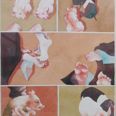 Piggies