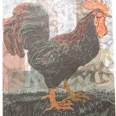 Black Rooster