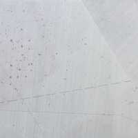 Flight Path Over Soybeans