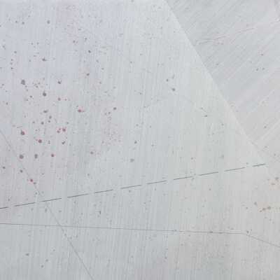 Flight Path Over Soybeans