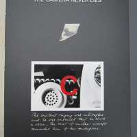          The Camera Never Lies picture number 21
   