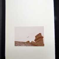          The Camera Never Lies picture number 22
   