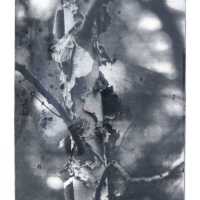 Jasper-Pulaski Wetlands III