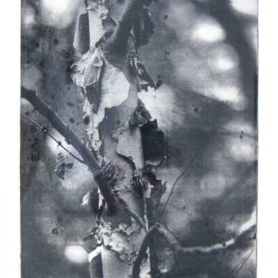 Jasper-Pulaski Wetlands III