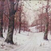          Winter Evening picture number 1
   