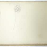          Winsor & Newton School Drawing Book picture number 3
   