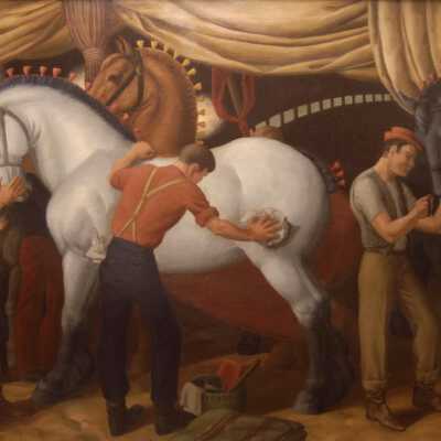 Grooming Horses