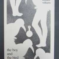          The Boy and the Bird picture number 3
   