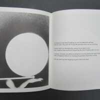          The Boy and the Bird picture number 5
   