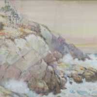 Pacific Coast with Trees