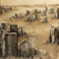          The Problem Here is Clear Cut picture number 1
   