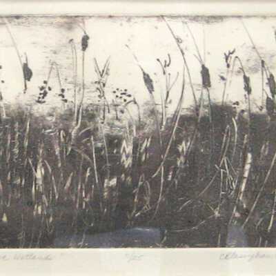 Indiana Wetlands