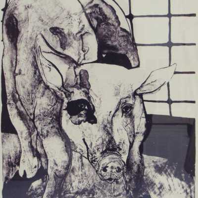 Spotted Pig