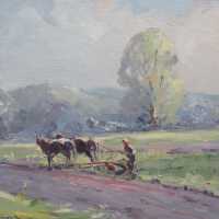          Silvery Morn picture number 1
   