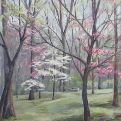 Spring at Whitehall