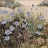 Cornflowers