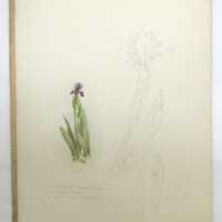          Winsor & Newton School Drawing Book picture number 8
   