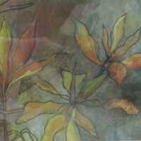 Seasons of Time & Light