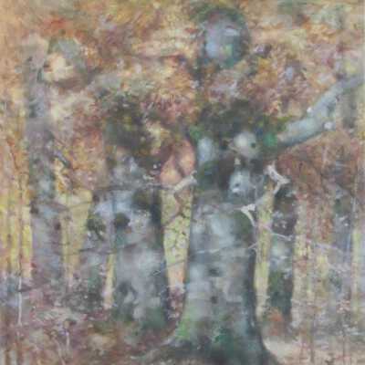 Beech Trees in Autumn