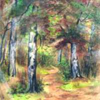 Untitled (Forest Scene)