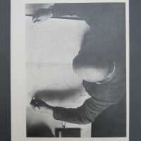          Trophies picture number 2
   