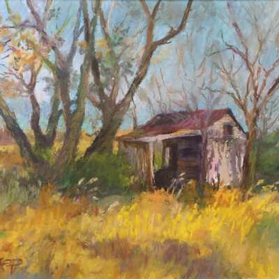 Land Reclaims Land
