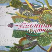          Spine picture number 1
   