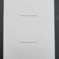          Gesammelte Werke Band 9 (Collected Works Volume 9) picture number 3
   