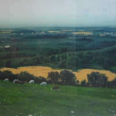 A Summer Landscape