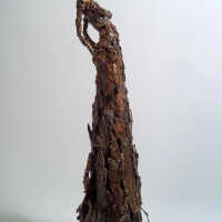         Putting Down Roots picture number 1
   