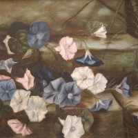          Morning Glories picture number 1
   
