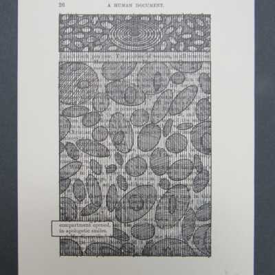 1979.21.1.13 (pg. 26)