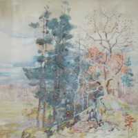 Hemlocks and Boulders