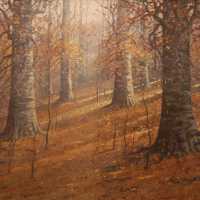          Untitled picture number 1
   