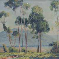 Spring in Albany Knob