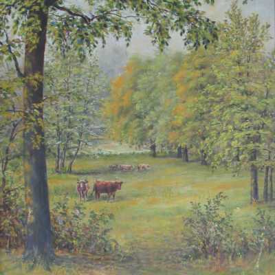 Spring Meadow
