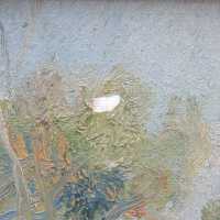          Spring in Albany Knob picture number 3
   