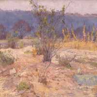 Untitled (The Garden, Cedar Farm)