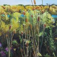          Summit Lake picture number 1
   