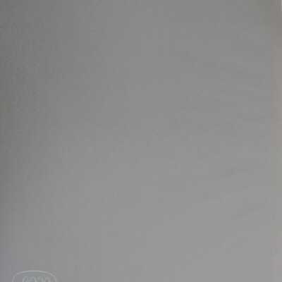 1981.14.2.2 - Loose sheet