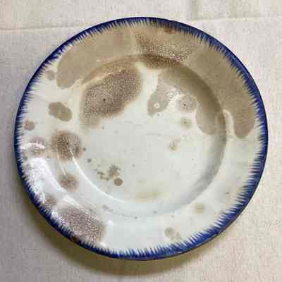 White & Blue Ceramic Plate