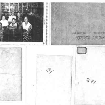 FLEMING DRUG STORE, SHELBYVILLE, IN.