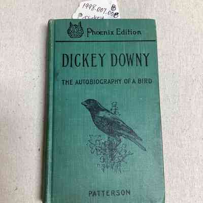 Dickey Downy