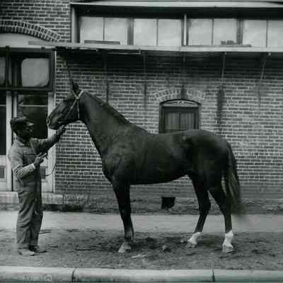 Unidentified man w/ horse
