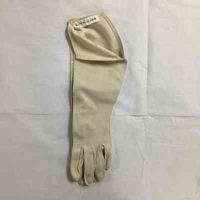 Women's Cream Cloth Gloves